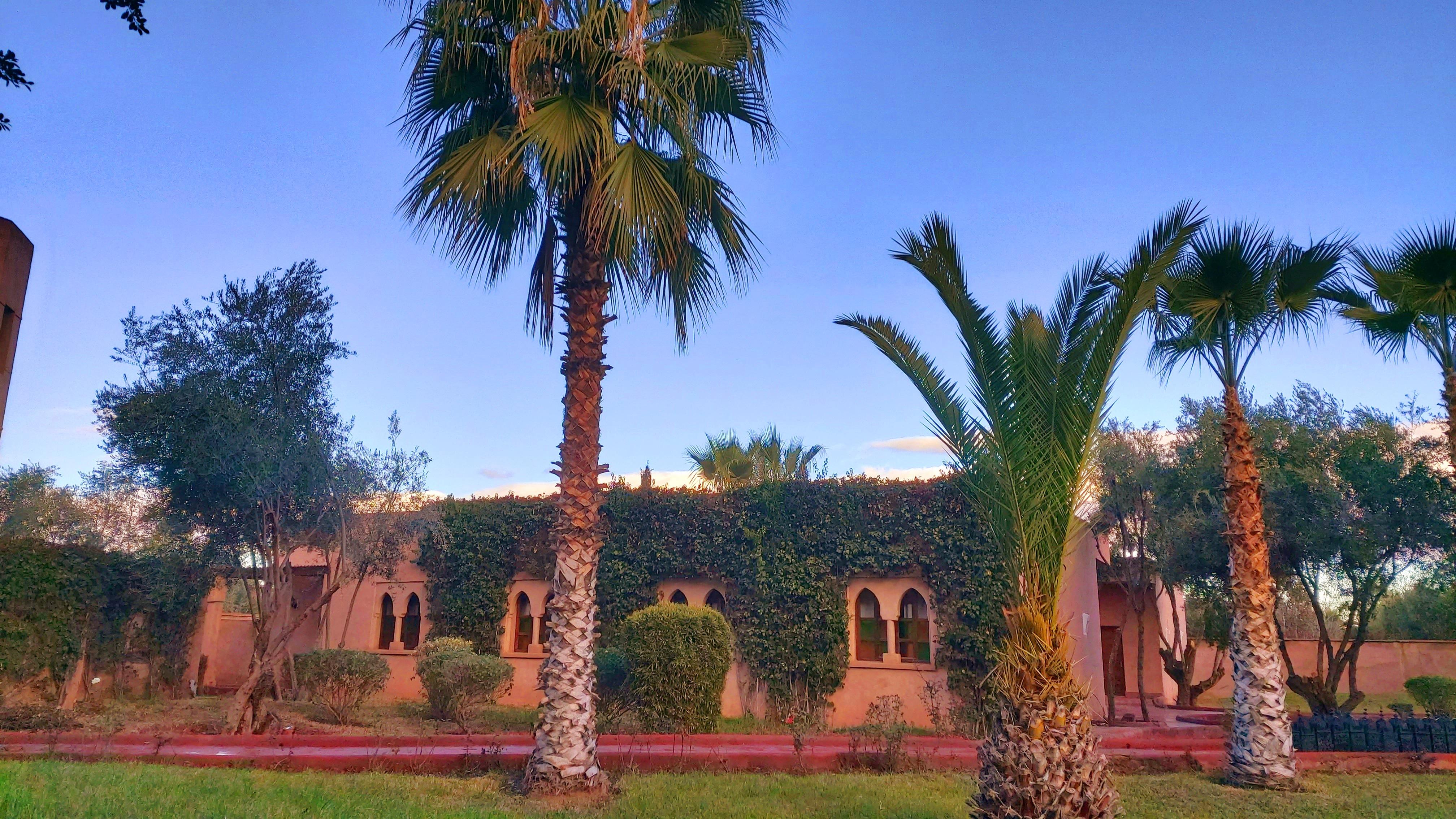 La Maison Des Oliviers Marrakesh Ngoại thất bức ảnh