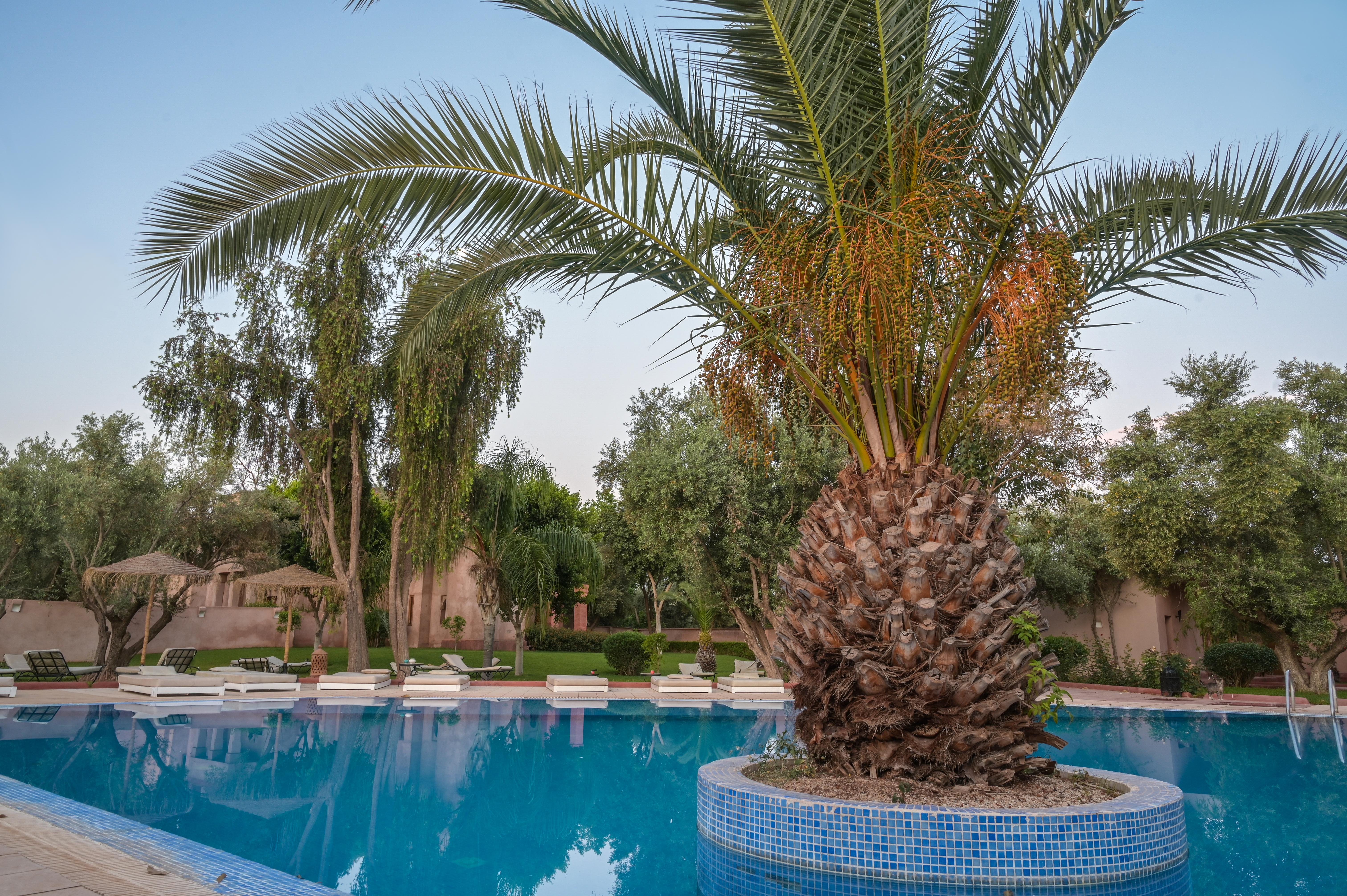 La Maison Des Oliviers Marrakesh Ngoại thất bức ảnh