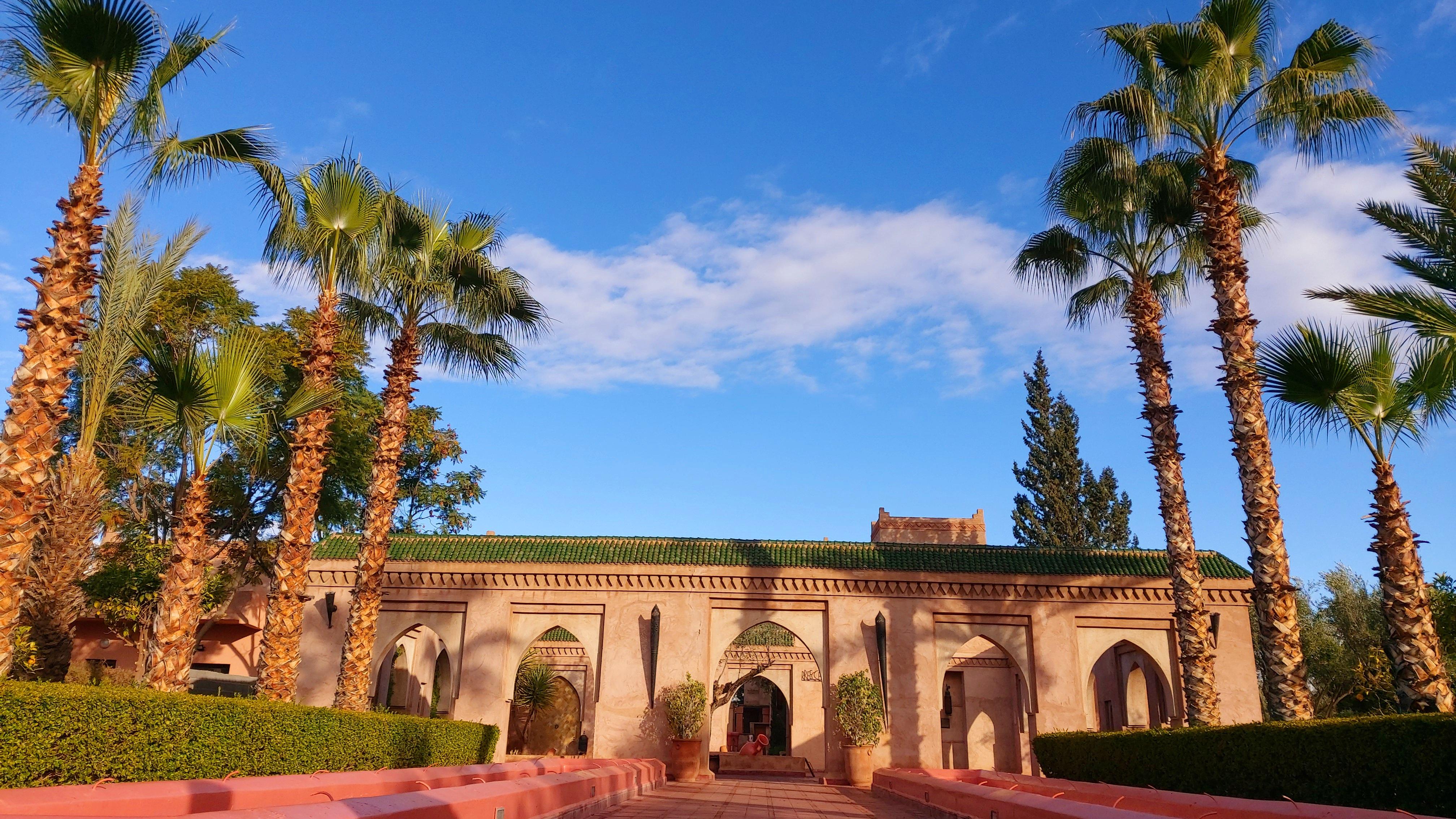 La Maison Des Oliviers Marrakesh Ngoại thất bức ảnh